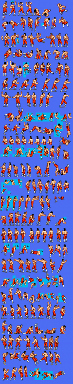 honky tonk man.png