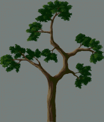 BIGASS_tree.gif