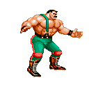 Haggar Saturday Night Slam Masters.png