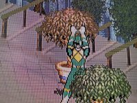 IMG_0612.jpeg