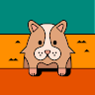 rabbit77